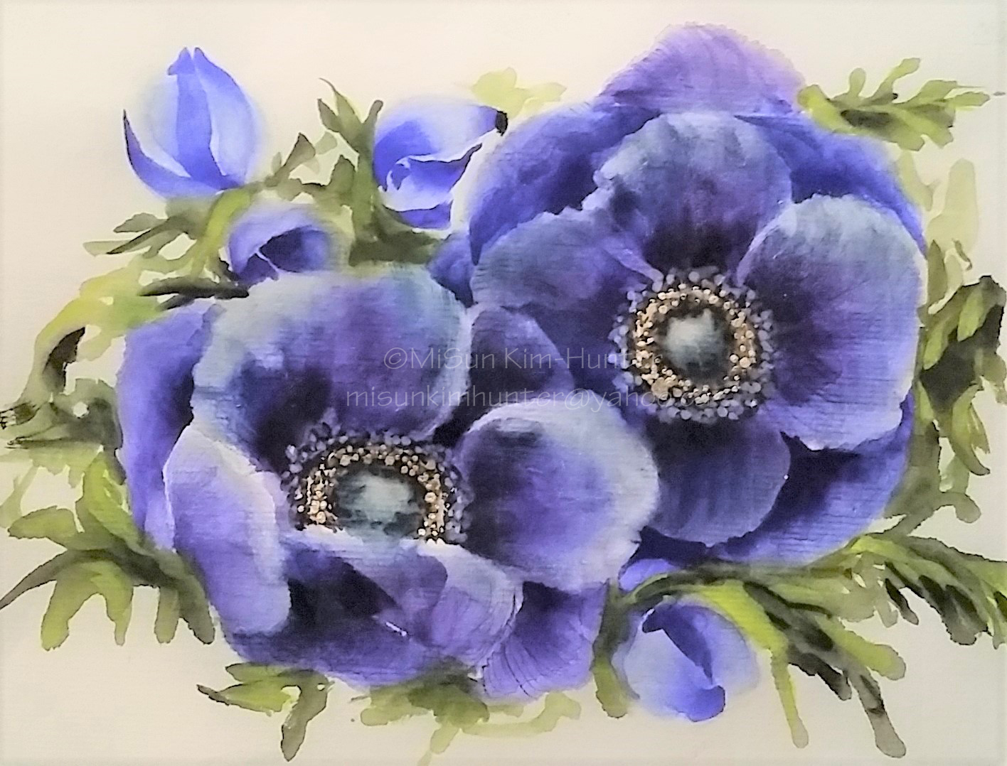 anemone sample